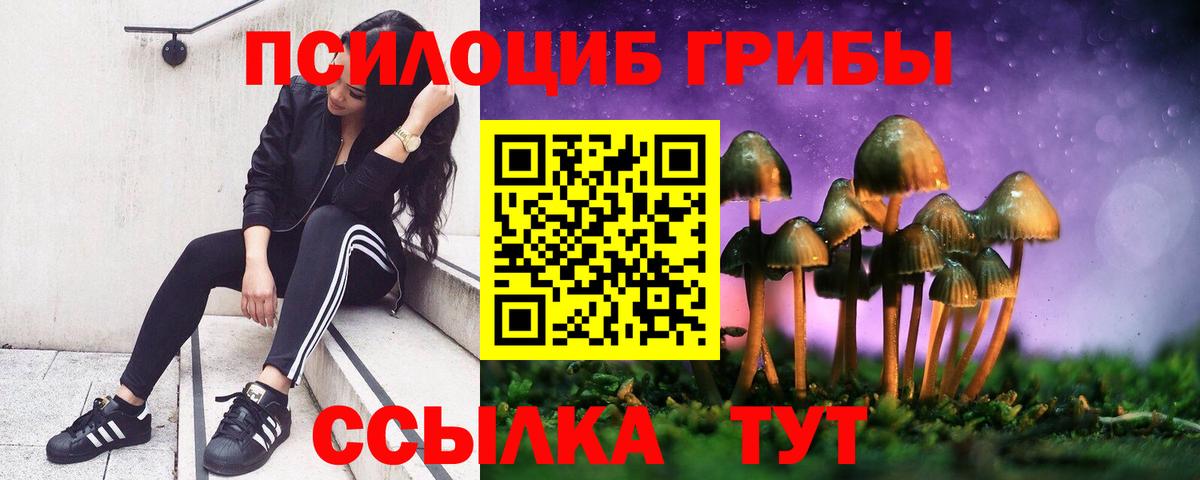 Галлюциногенные грибы Magic Shrooms  Галлюциногенные грибы MAGIC MUSHROOMS  сколько стоит  Джанкой  Вход с VPN 