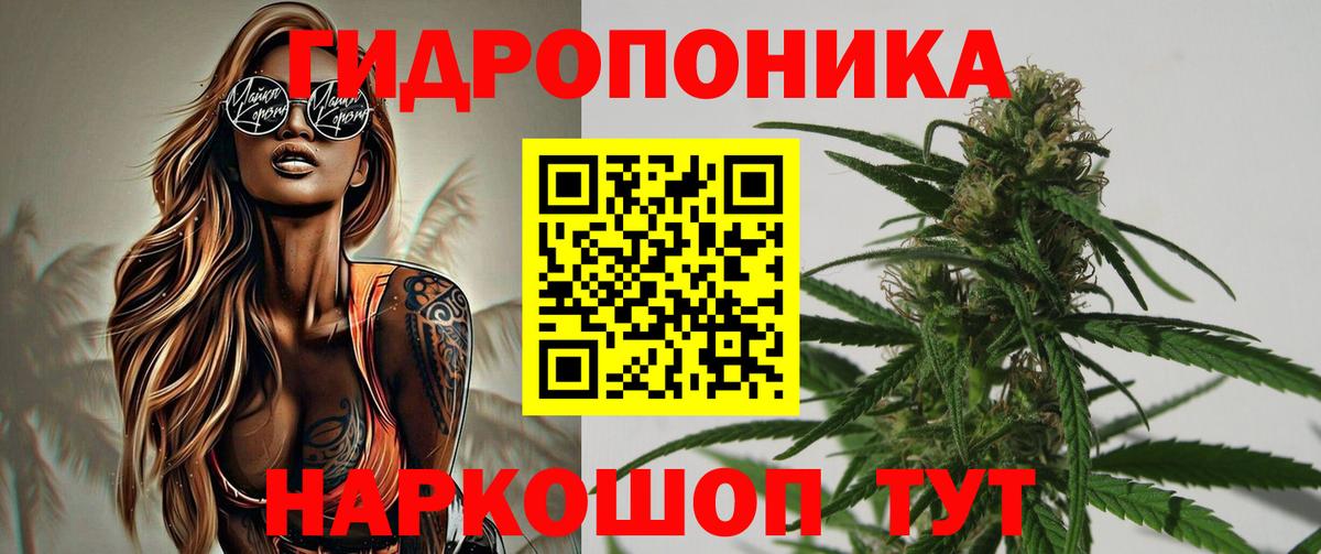 Шишки марихуана гибрид Джанкой